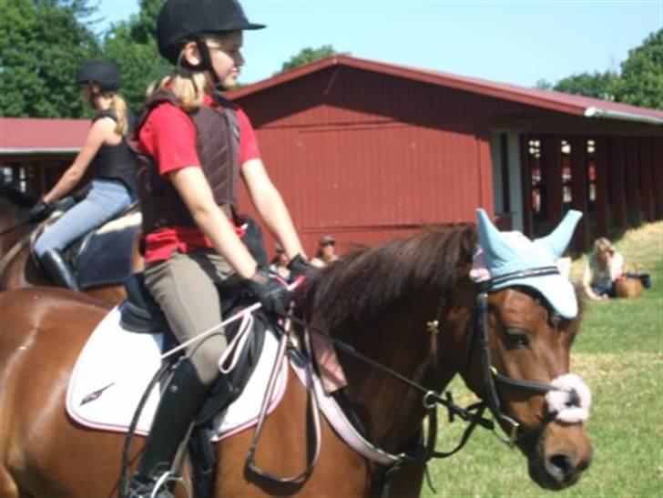 DSP Moonlight Dancer billede 13