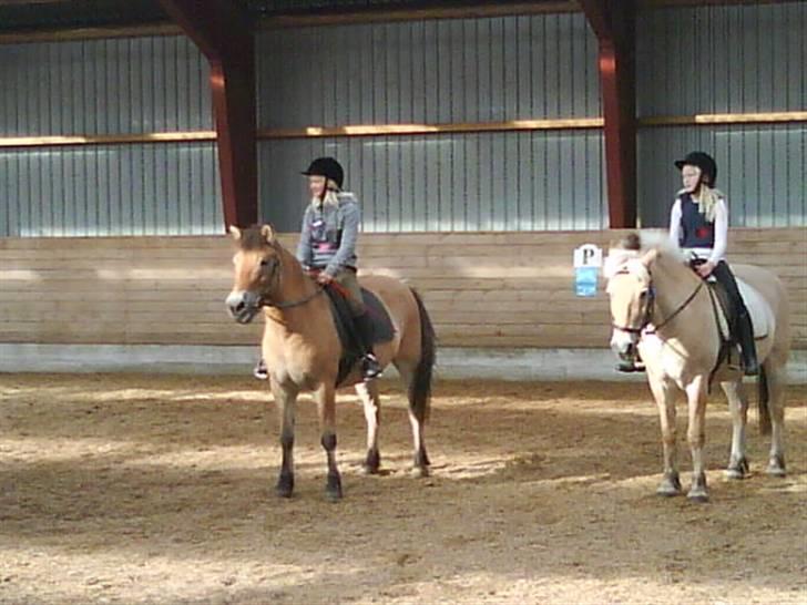 Anden særlig race Bleiki ii; <3  billede 3