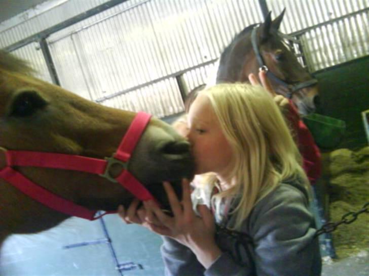 Anden særlig race Bleiki ii; <3  billede 4