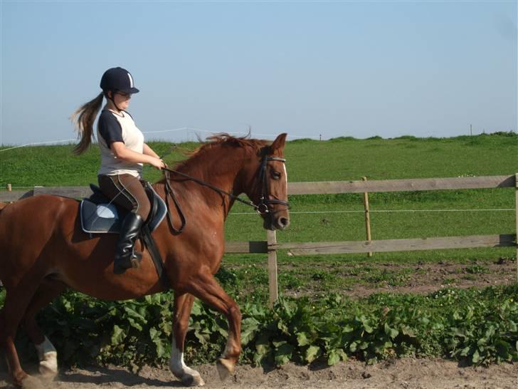 Frederiksborg Engkildegårds Fjela SOLGT - Trav. 24 Sep 08. Foto Mia billede 18