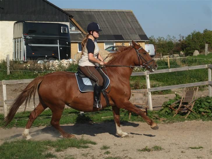Frederiksborg Engkildegårds Fjela SOLGT - Fjela og miig i en vild galop. 24 Sep 08. Foto Mia billede 20
