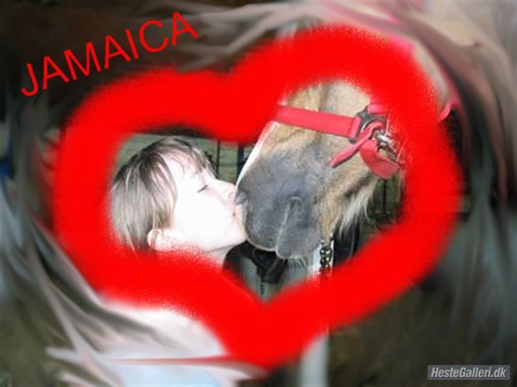 Anden særlig race Jamaica(red før sommer08) - ELSKER DIG !! <33 billede 20