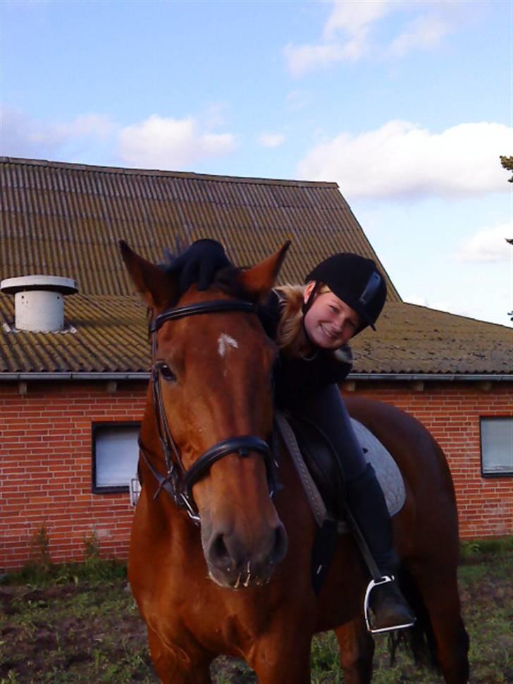 Dansk Varmblod Cornet - heyyy heyey det var dejligt at springe., du er bare dejliog cornet <3 billede 10