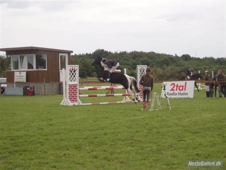Pinto Solvangs Prinsesse Dina - Her er vi i Guldager. Lb eller La. billede 8