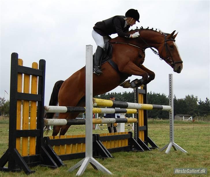 Anden særlig race Lyngholms dixie 'UDLÅNT' - mig & dixie til stævne i HIR. #´foto:annika. billede 7