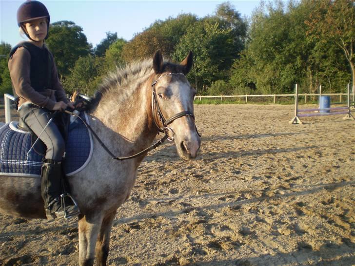 Anden særlig race Tøsen RIP. - tror vi øver bane d; ily.<3 »foto:lotte(:« billede 9