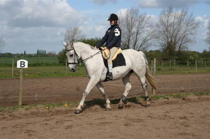 Anden særlig race Fleur - 2009 Ridning (: Foto: Sabine billede 10