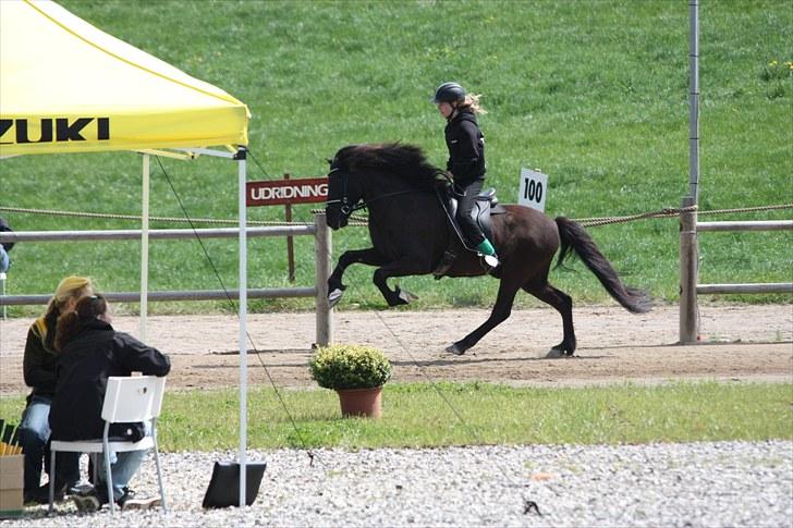 Islænder Ganti fra Døesbæk - When life give you a hundred reason to cry, show life that you have a thousand reasons to smile. ♥ 
Foto: Caroline Holvad  billede 4