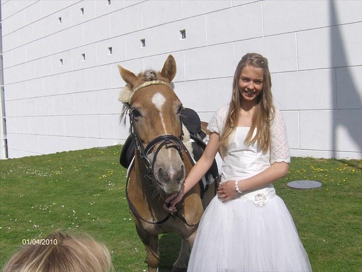 Anden særlig race Pakko - mig og pakko oppe ved kirken, konfirmation maj 2010 foto: mor/far billede 5