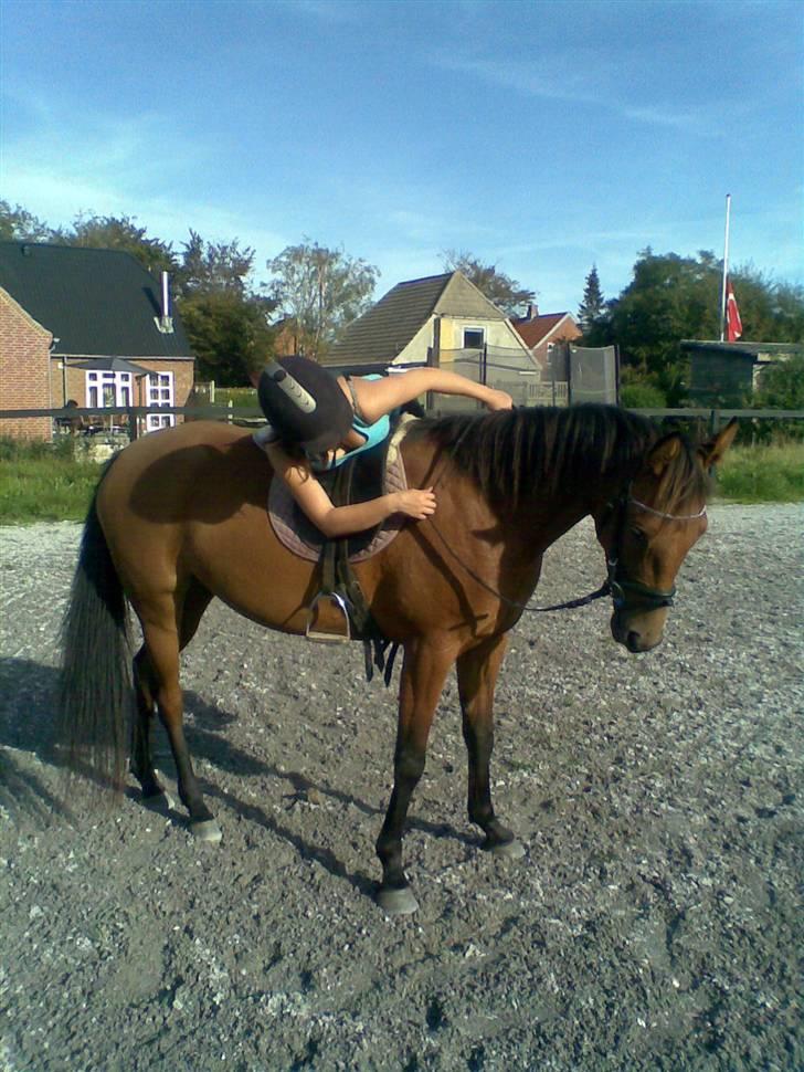 Traver Liselotte Astrup billede 13