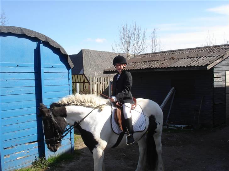Irish Cob Holms  Emmely - Annika og Emmely's første stævne
Det er snart 10 år siden.  billede 6