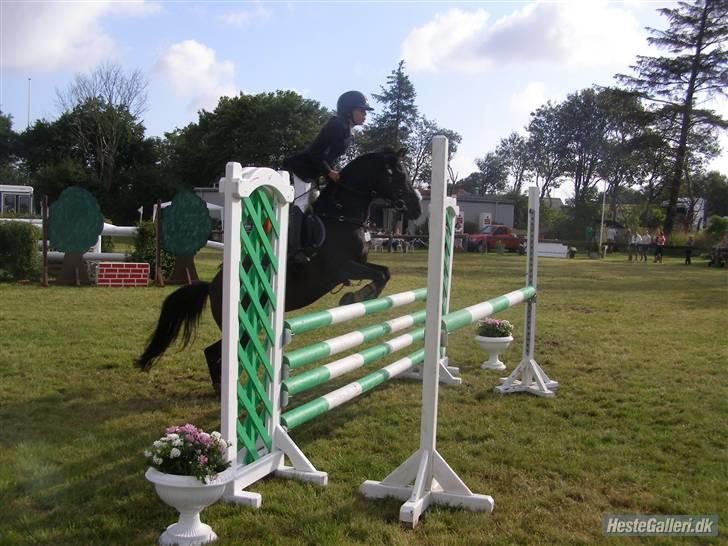 Anden særlig race Westergaard`s Mike-B-Pony - Mike skat <3333 MA lands :D <333 Taget Af min bedste vendine Julie <333 (L) Tusinde tak <3 billede 13