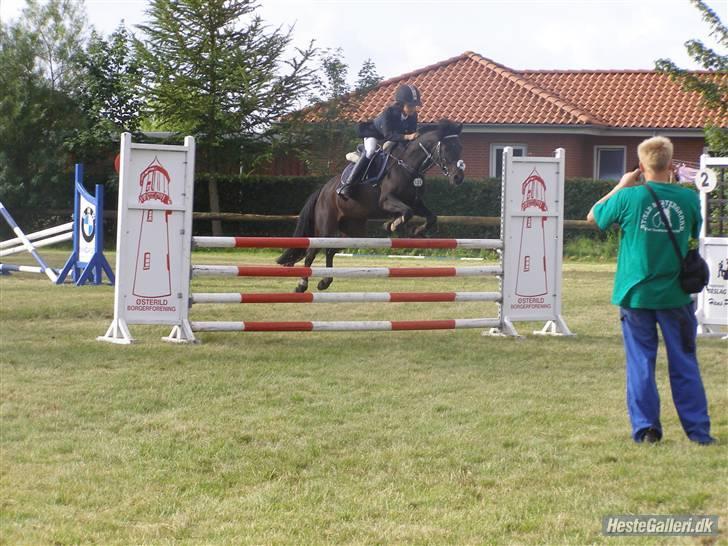 Anden særlig race Westergaard`s Mike-B-Pony - Mike MA lands :D <333333 du er bare sej <33333333333 (L) Taget af Julie <3 De er SÅ flotte billederne <333 billede 15