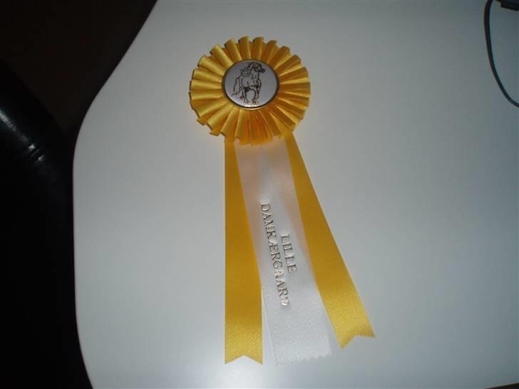 Islænder Hüginn fra Sejerslev  - Hüginns roset .  billede 13