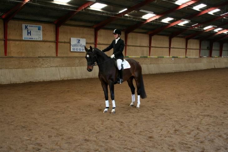 Dansk Varmblod Nana Lindebjerg - Parade til LC1 med kommentaren "Flot" :) vandt klassen :) billede 10