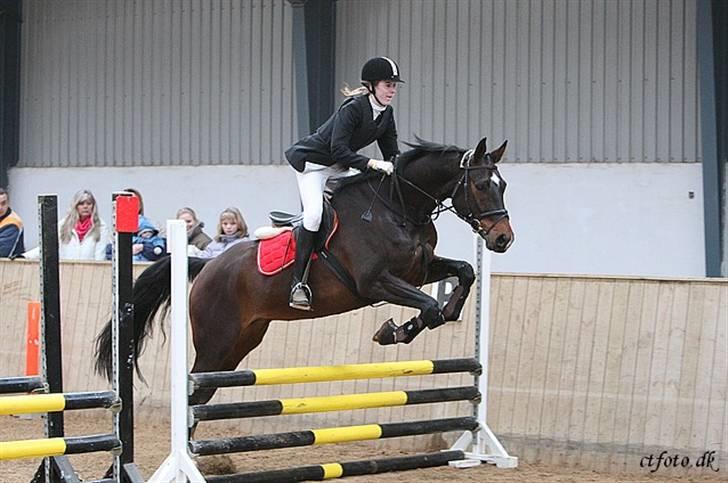 Dansk Varmblod Nana Lindebjerg - Stævne på Hahøj :D billede 16