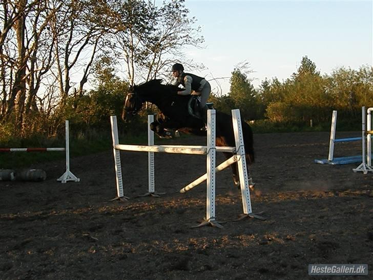 Oldenborg Lindgaards Aladin billede 16