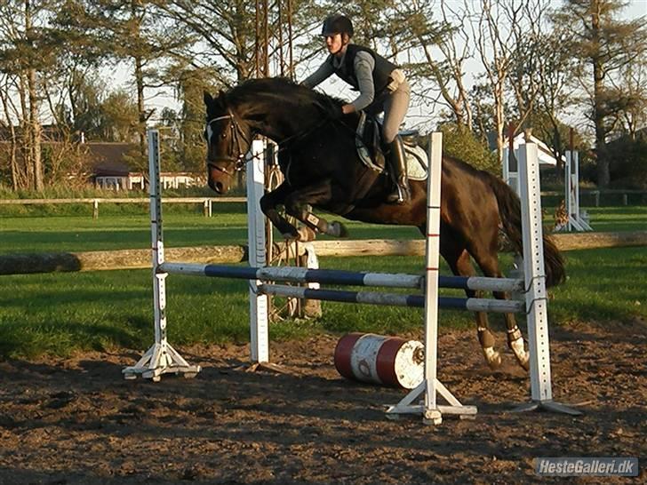 Oldenborg Lindgaards Aladin billede 17