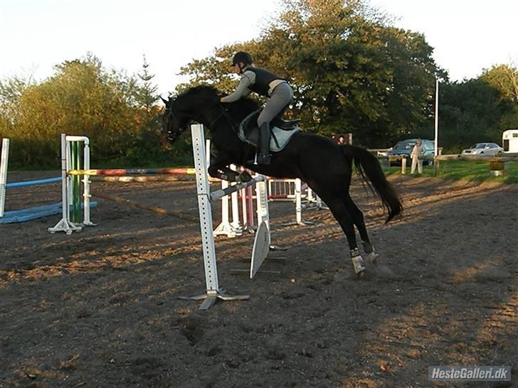 Oldenborg Lindgaards Aladin billede 18