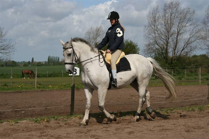 Anden særlig race Fleur - 2009 (: Foto: Sabine billede 15