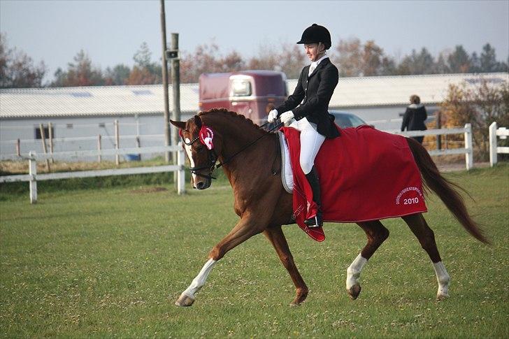 Hannoveraner Superior - B-hest - Distriktsmesterskab for junior 2010 :D taget af: Mette Thomsen billede 9