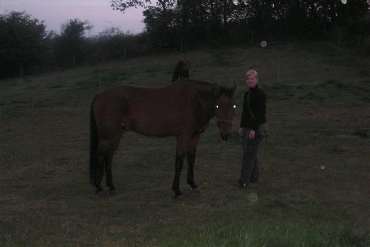 Anden særlig race Zargo - Trænings aften med zargo billede 12