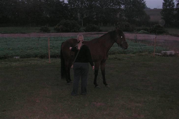 Anden særlig race Zargo - flytning af bagpart billede 14