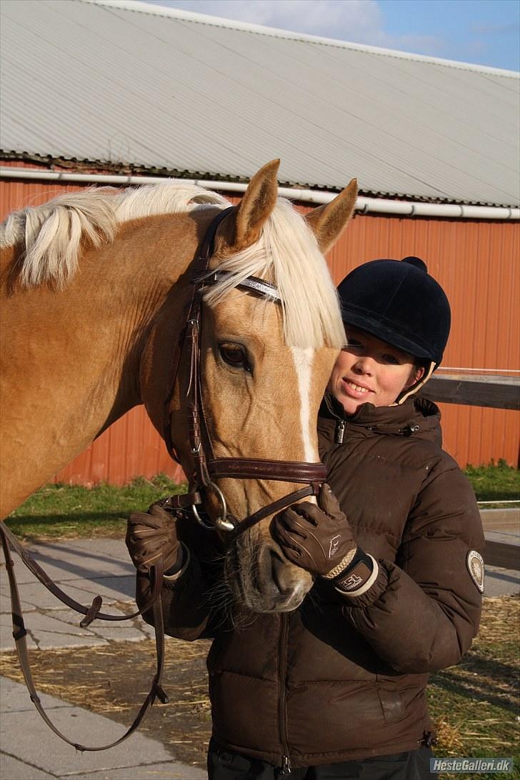 Hollandsk Sportspony - Hogewald'S Julian  - Min sidste dag med Julle :´/ Jeg savner dig virkelig min skat ... Foto: Rikke billede 1