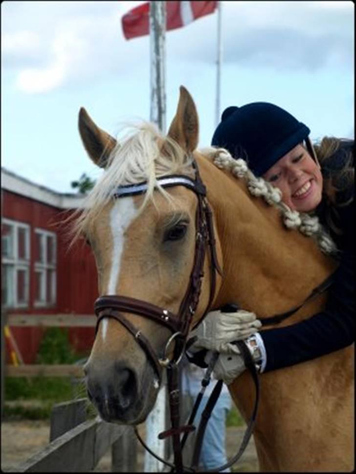 Hollandsk Sportspony - Hogewald'S Julian  - Fordi jeg elsker min pony :D . Foto: Sandra billede 12