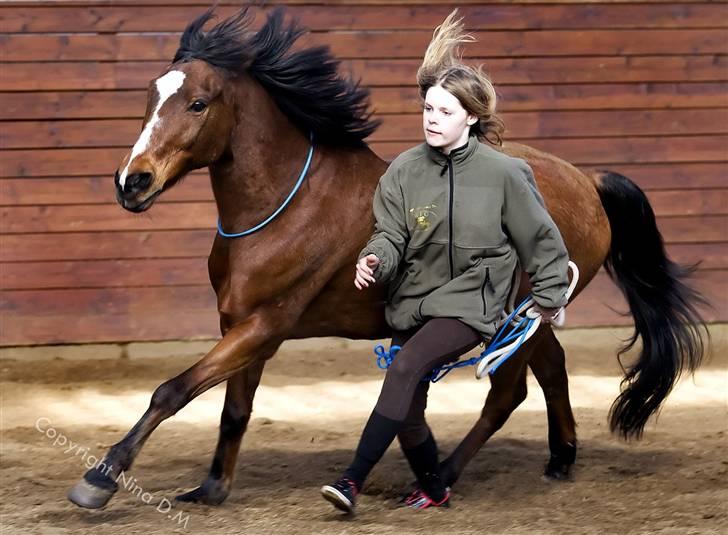 Anden særlig race Snublis (Snubber) † - Foråret 2009. I avisen :) billede 16