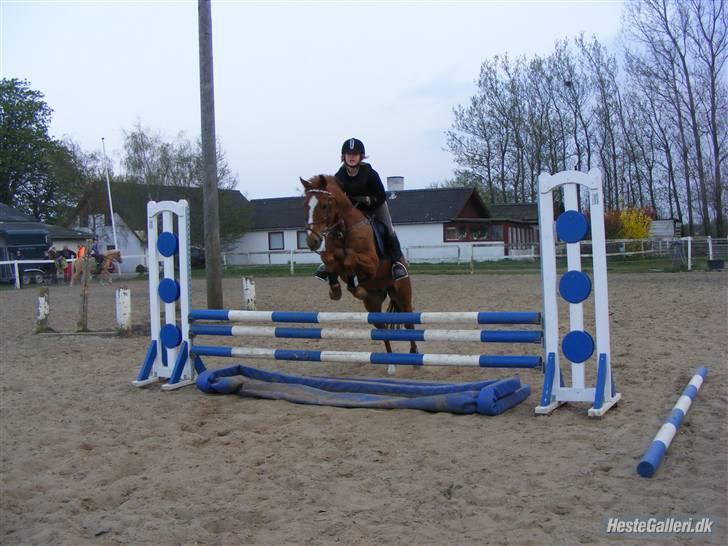 Anden særlig race Smarties R.I.P - Hop ^^ <33 billede 4