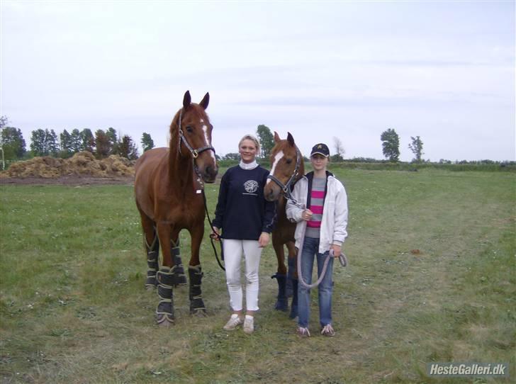 Anden særlig race Smarties R.I.P - Kopi OO billede 8