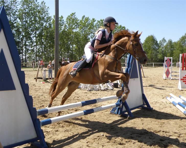 Anden særlig race Smarties R.I.P - Malle og Smarties <333 billede 10