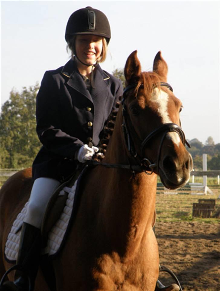 Anden særlig race Smarties R.I.P - Smarte og jeg til første stævne d. 27/09/08 billede 11