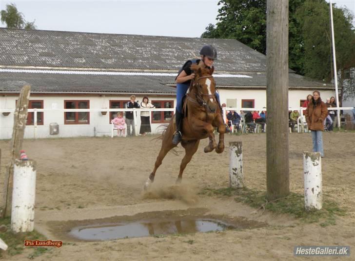 Anden særlig race Smarties R.I.P - Malle og Smarties springer vandgrav <33 billede 14