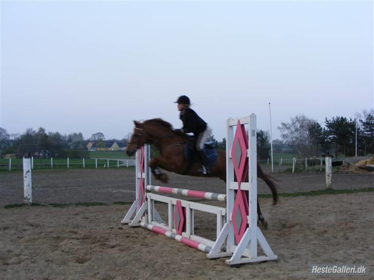 Anden særlig race Smarties R.I.P - Vi hopper <33 billede 15