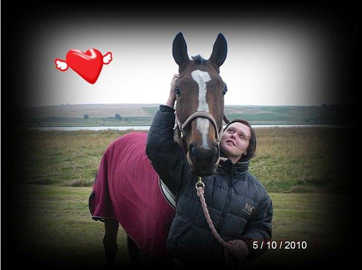 Dansk Varmblod Louisianna *R.I.P* <3  - Louisianna & Mig..  På vores sidste timer sammen <3 Jeg elsker dig for evigt prinsesse <3 billede 1