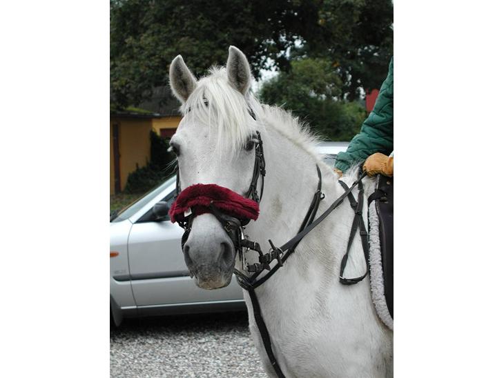 {{currentPhoto.altText}} billede {{currentPhoto.number}}