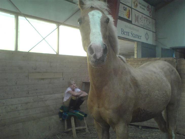 {{currentPhoto.altText}} billede {{currentPhoto.number}}