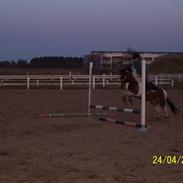 Anden særlig race Boogie