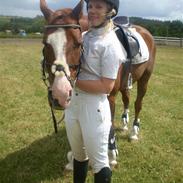 Oldenborg Emdegaardens Zairo(solgt)