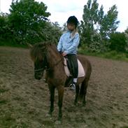 Gotlandsruss KAHLUA <3