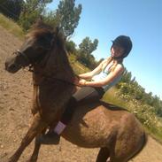 Gotlandsruss KAHLUA <3