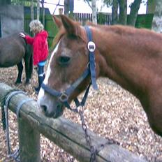 Anden særlig race Emma (R.I.P D':)