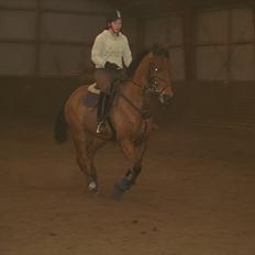 Traver Stella soulmate<3 pension R.I.P