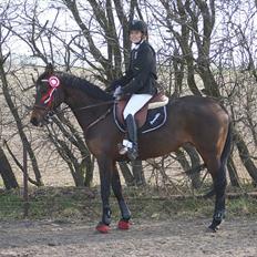 Anden særlig race Bonnie