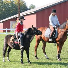 Anden særlig race robin<3  (gl.paret)