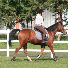 Anden særlig race robin<3  (gl.paret)