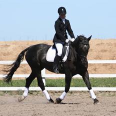 Anden særlig race Noir De Monique <3  R.I.P