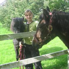 Dartmoor Amanda